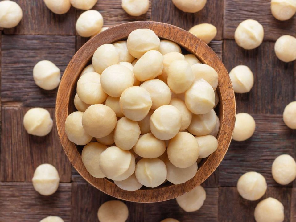 Macadamia